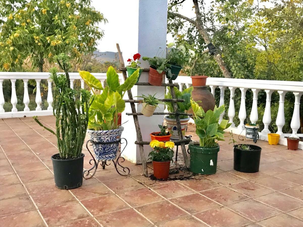 Casa Rural En Constantina Exterior photo